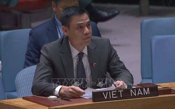Việt Nam sẵn sàng đóng góp cho ngoại giao và tái thiết, phục hồi ở Ukraine