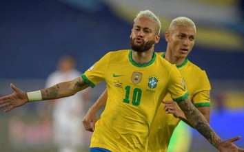 Mèo tiên tri dự đoán kết quả trận Brazil vs Serbia: Đẳng cấp khác biệt