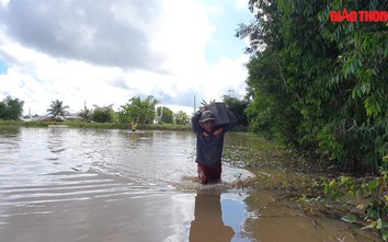 Video: Băng vườn, lội nước cắm cọc GPMB cao tốc Châu Đốc-Cần Thơ-Sóc Trăng