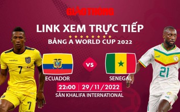 Link xem trực tiếp Ecuador vs Senegal, bảng A World Cup 2022