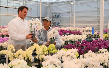 FT: Cuộc sống ẩn dật nhưng sang chảnh hết cỡ của tỷ phú Jack Ma