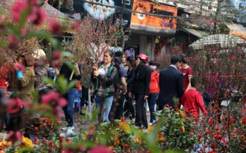 Hà Nội cấm nhiều tuyến đường phục vụ chợ hoa Tết