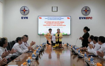 Chỉ định ông Lê Văn Trang làm Bí thư Đảng ủy Điện lực miền Nam