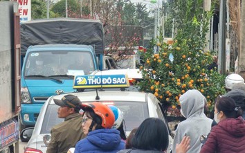 Khách đổ xô vào vườn đào Nhật Tân ngày cuối tuần, giao thông ùn tắc