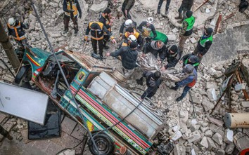 ĐSQ Việt Nam tại Thổ Nhĩ Kỳ thông tin về công tác bảo hộ sau động đất