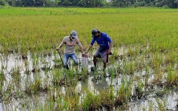 Cần Thơ: Vì sao khởi công 3 tháng, đường Vành đai phía Tây đã thiếu vốn?