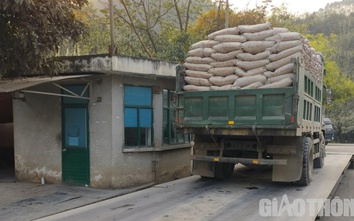 Công ty Xi măng Yên Bình hứa xuất hàng, nhận nguyên liệu đúng tải trọng xe