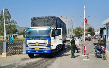 An Giang, Đồng Tháp siết chặt biên giới, ngăn dịch cúm A/H5N1