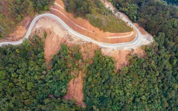 Cao Bằng: Tự ý phá rừng đặc dụng để làm đường, chỉ bị hạ bậc thi đua