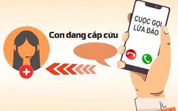 Cuộc gọi lừa đảo, ai gọi?