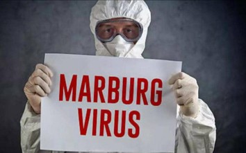 Loại virus Marburg vừa được Bộ Y tế cảnh báo nguy hiểm đến mức nào?