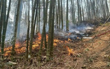 Cháy rừng ở Hòa Bình sau tiếng nổ lớn, hơn 200 người nỗ lực dập lửa