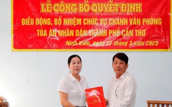 Vì sao nữ Chánh án TAND quận ở Cần Thơ chưa nhận vị trí mới?