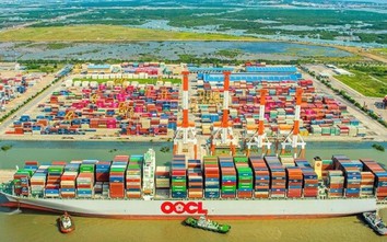 Thất thu cả tỷ USD mỗi năm vì giá xếp dỡ container cảng biển quá thấp