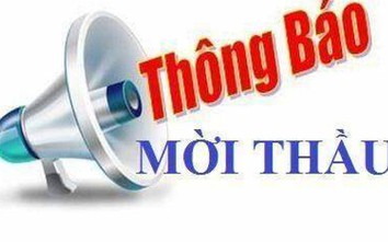 Thông báo mời thầu Dự án sửa chữa mặt đường QL1, qua tỉnh Bình Định