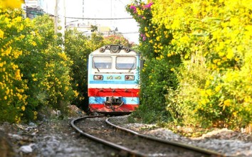 Đường sắt phát động phong trào hình thành đường hoa dài nhất Việt Nam