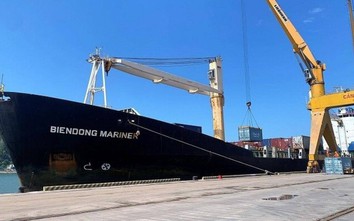 Cước giảm hơn 60%, dừng tuyến container từ cảng Cửa Lò đi Ấn Độ