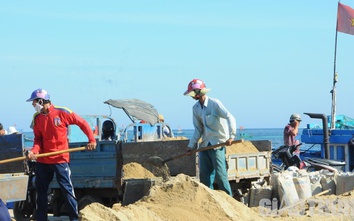 Giá cát tăng chóng mặt, người dân và nhà thầu ở đảo Lý Sơn điêu đứng