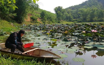 Chuyện chưa kể về Ao cá Bác Hồ của người Hre trên đỉnh Đông Trường Sơn