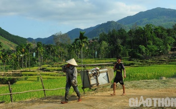 Quảng Ngãi sẽ đào tạo nghề cho hơn 5.000 người dân nông thôn