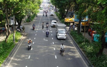 TP.HCM: Đốn hạ 300 cây xanh để làm đường nối Trần Quốc Hoàn - Cộng Hòa
