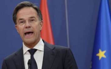 Chính phủ Hà Lan sụp đổ, Thủ tướng đệ đơn từ chức