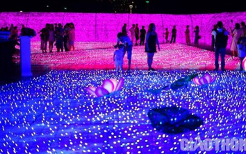 Đà Nẵng: Thắp sáng bờ tây cầu Rồng với 500.000 đèn led