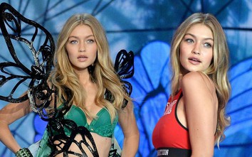 Siêu mẫu Gigi Hadid bị bắt, hải quan sân bay tìm thấy cần sa trong hành lý