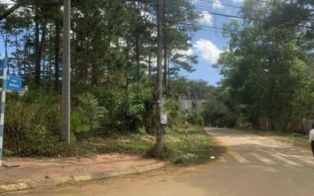 Kon Tum: Huyện giao hàng loạt lô đất biệt thự ở Măng Đen trái pháp luật