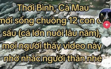 Xôn xao video 12 con cá sấu sổng chuồng ở Cà Mau: Sẽ xử lý người đăng tải