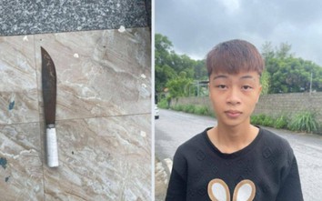 Bắt giam 4 đối tượng tấn công nam sinh ở Quảng Ninh
