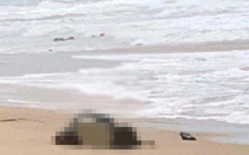 Truy tìm danh tính thi thể thiếu nữ dạt vào bãi biển Vân Đồn