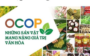 Hàng nghìn sản phẩm OCOP thêm cơ hội đến tận tay người tiêu dùng