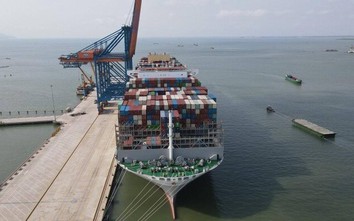 7 tháng, cảng biển Việt Nam đón gần 60.000 lượt tàu