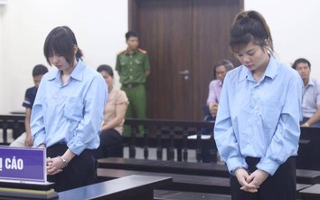 Bảo mẫu khiến bé 17 tháng tuổi tử vong ở Hà Nội lĩnh án chung thân