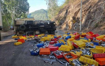Video TNGT 26/8: Xe tải mất lái tông vào vách núi, tài xế tử vong