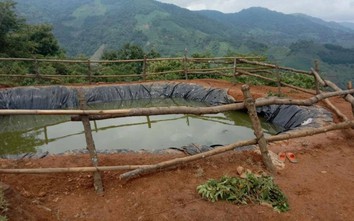 Ba trẻ em tử vong vì đuối nước khi đi chăn trâu ở Lào Cai