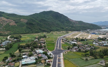 Gia Lai: Chuyển đổi hơn 33ha rừng xây khu tái định cư phục vụ khu công nghiệp Phù Mỹ