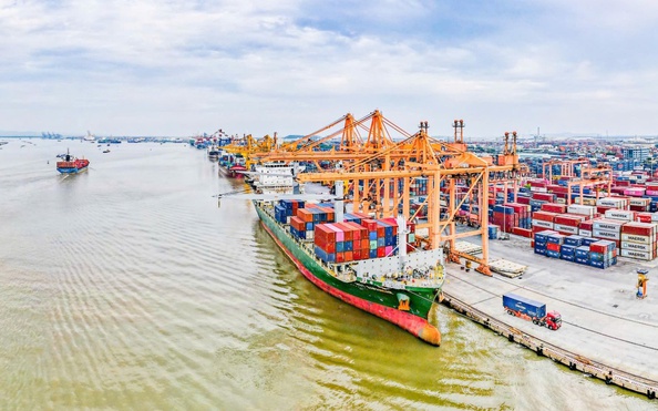 w88 com qua cảng biển giữ đà tăng trưởng mạnh