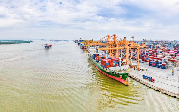 Doanh nghiệp w88 com biển tưng bừng báo lãi