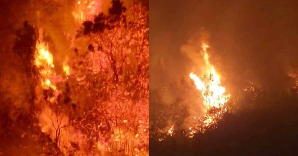 Hai cán bộ kiểm lâm ở Hà Giang tử nạn khi chữa cháy rừng