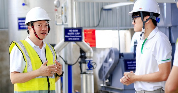 Saint-Gobain tiên phong sử dụng nhiên liệu sinh khối vào sản xuất tấm xi măng xanh
