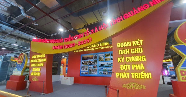 Cận cảnh mô hình thành tựu phát triển kinh tế - xã hội tại hội chợ OCOP Quảng Ninh 2025