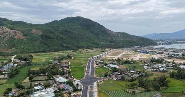 Gia Lai chuyển mục đích sử dụng hơn 33ha rừng xây dựng khu tái định cư phục vụ KCN Phù Mỹ