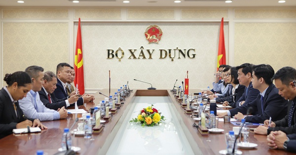 Việt Nam và Solomon tăng cường hợp tác trong sản xuất vật liệu xây dựng