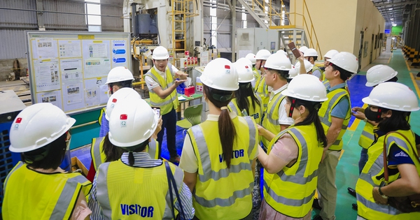 Vật liệu xanh “lép vế” vì giá thành và thói quen tiêu dùng