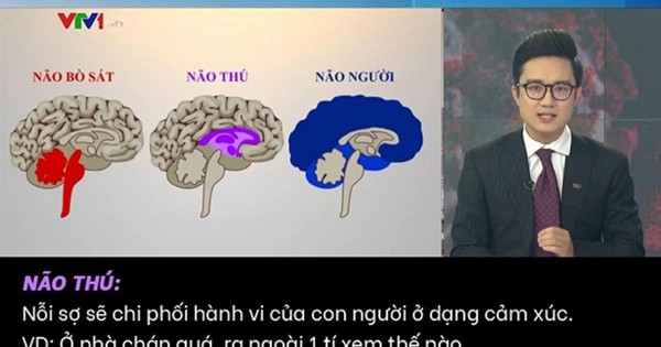 baoxaydung.vn