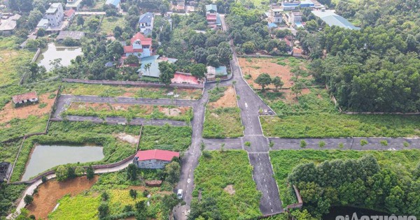 3 tháng trước, đất phân lô thu hút với những lời chào mời về sinh lời; thì nay, sau khi đã bán, những lô đất này bị bỏ hoang, cỏ mọc um tùm...