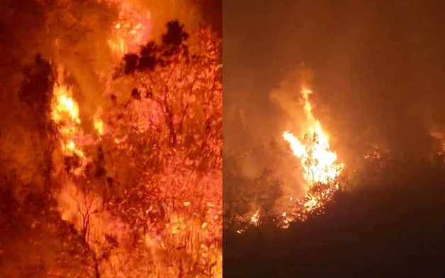 Hai cán bộ kiểm lâm ở Hà Giang tử nạn khi chữa cháy rừng