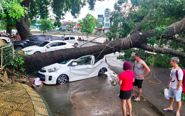 Doanh nghiệp bảo hiểm gấp rút đánh giá tổn thất từ bão số 3